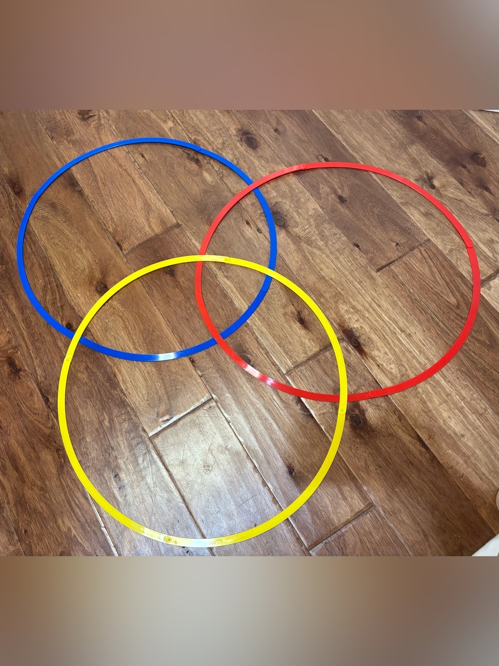 Venn Diagram Sorting Circles, Set of 3, Blue, Red, Yellow, Homeschool, Classroom